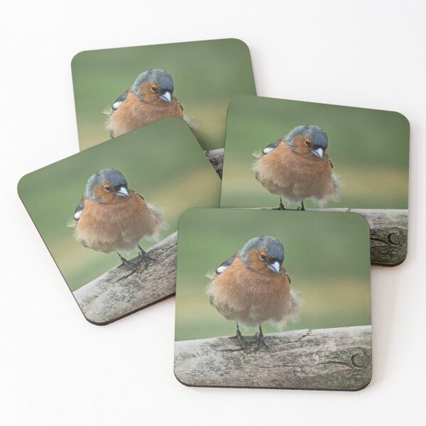 Item preview, Chaffinch designed and sold by Yampimon.