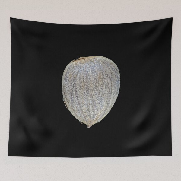 Item preview, Macro photo of an apricot seed kernel designed and sold by SDym Photography.