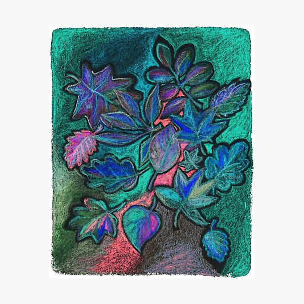 Ultraviolet night sheets Photographic Print