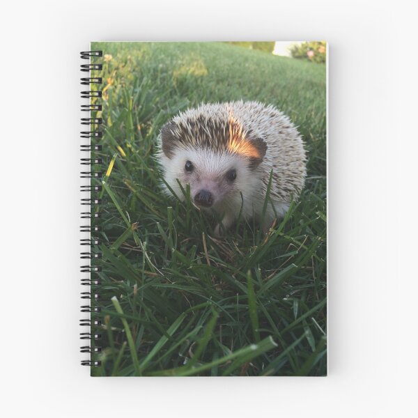 Item preview, Loki the Hedgehog  designed and sold by emlynorr.