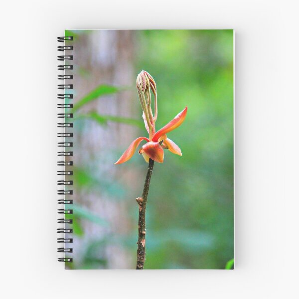 Item preview, Unusual Beauty designed and sold by Dana Yoachum.