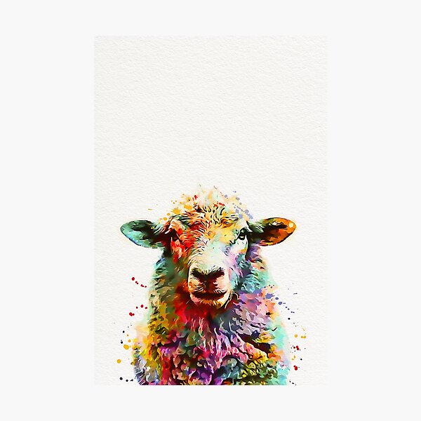Sheep Watercolor Photographic Print