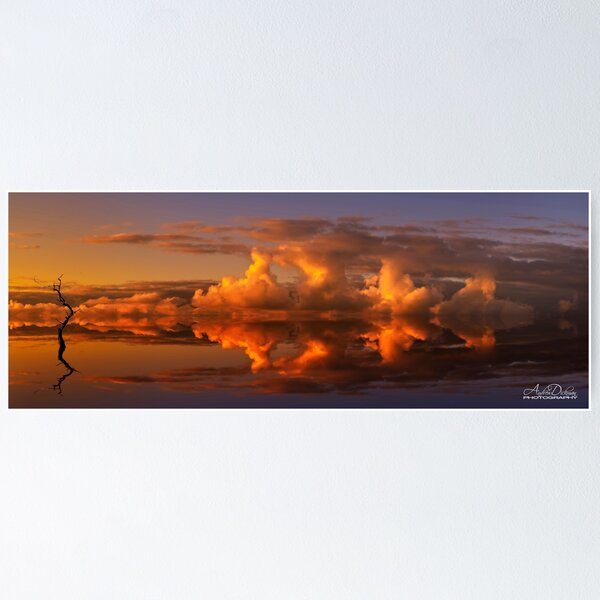 Item preview, R E F L E C T I O N S designed and sold by Andrew Dickman.