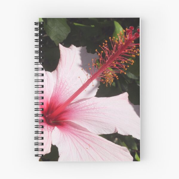 Item preview, pink hibiscus designed and sold by blacksheet.