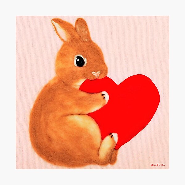 bunny munching heart (2014) Rabbit / Bunny Art Photographic Print