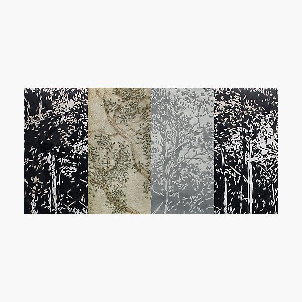 Forest for the Trees (detail) Photographic Print