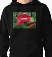 Bi-colour Anthurium Pullover Hoodie