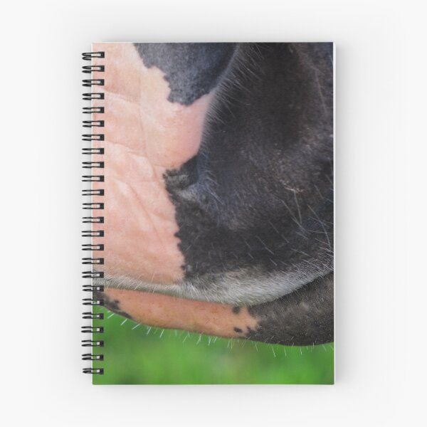 Item preview, From the Horse's Mouth designed and sold by Carol Bleasdale.