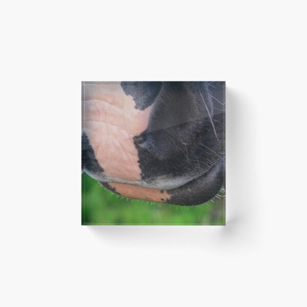 Item preview, From the Horse's Mouth designed and sold by Carol Bleasdale.
