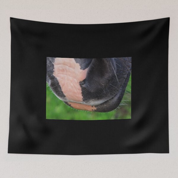 Item preview, From the Horse's Mouth designed and sold by Carol Bleasdale.
