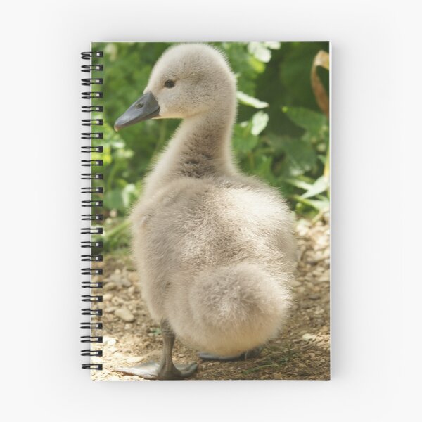Item preview, Cygnet designed and sold by MendipBlue.