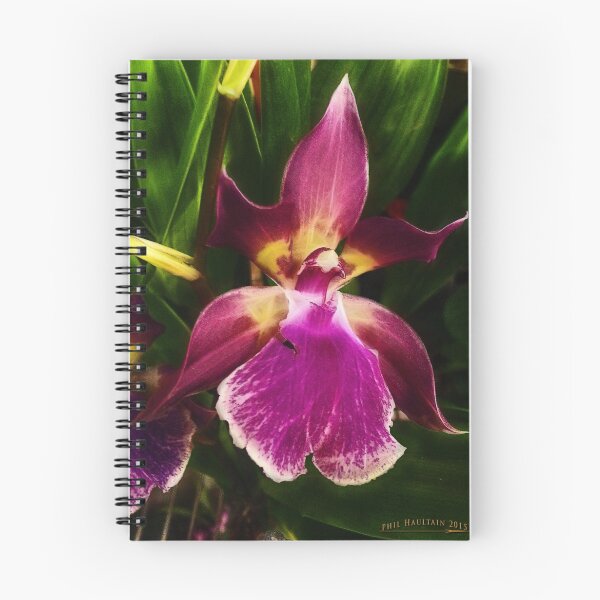 Item preview, Orchid 6 designed and sold by Celsiusrising.