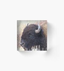 Bison Beauty Acrylic Block