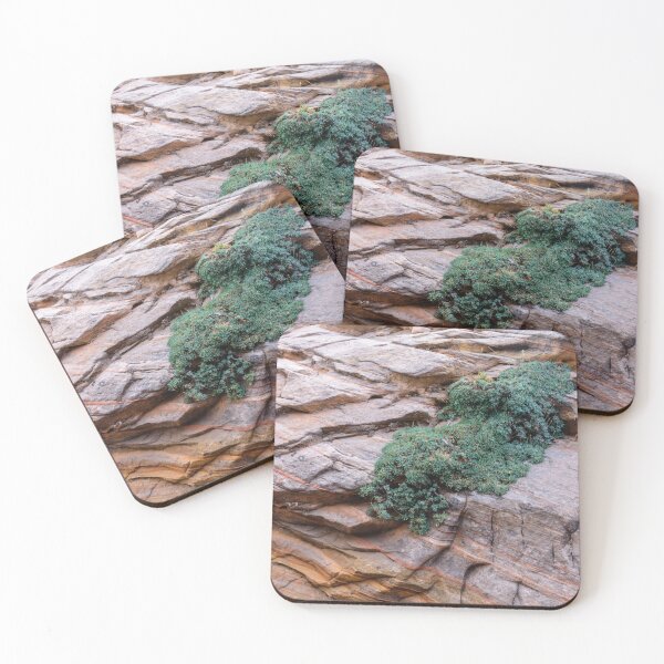 Item preview, Growing From Rock Terrain of Zion designed and sold by Debra Martz.