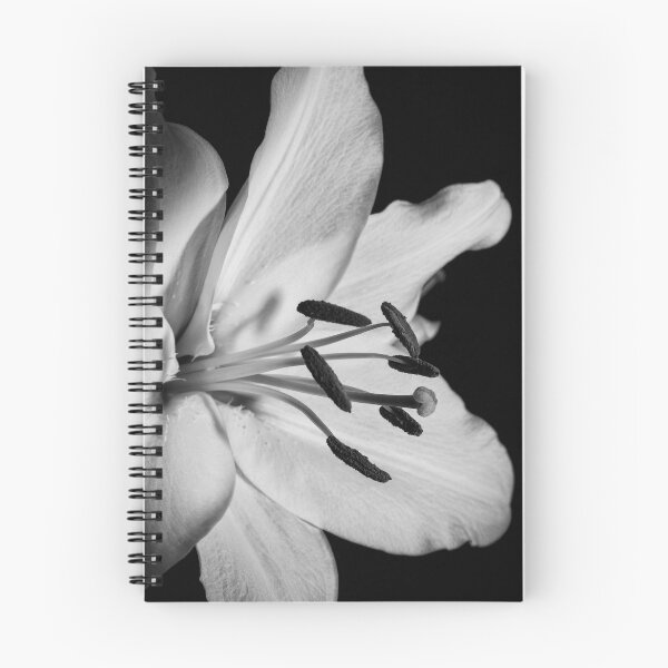 Artikelvorschau, Flora-Stillleben entworfen und verkauft von Lee Walker.