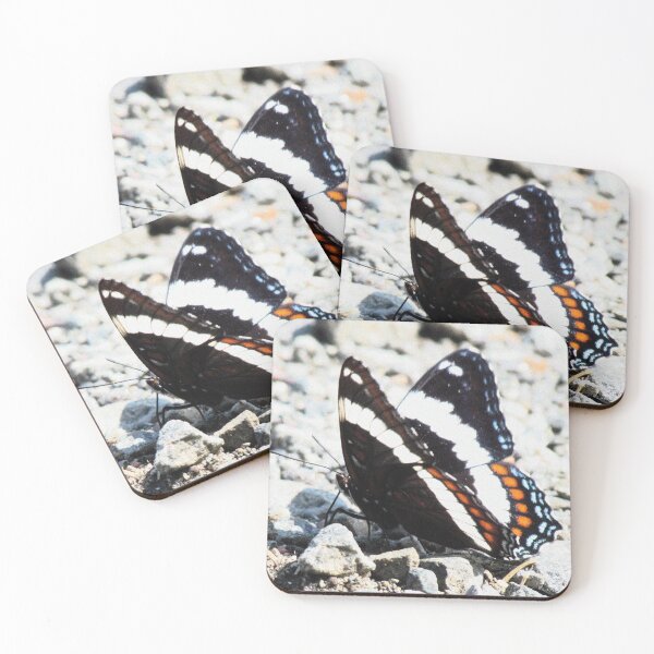 Item preview, Delicate Beauty designed and sold by Rebecca Parker.