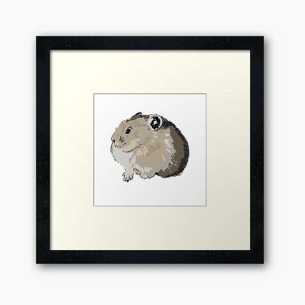 American pika Framed Art Print