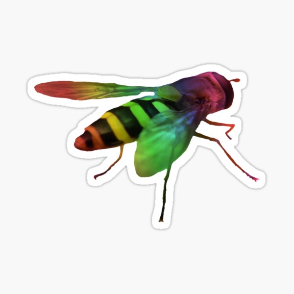 bunte Wespe in den Farben des Regenbogens, Insekt Sticker