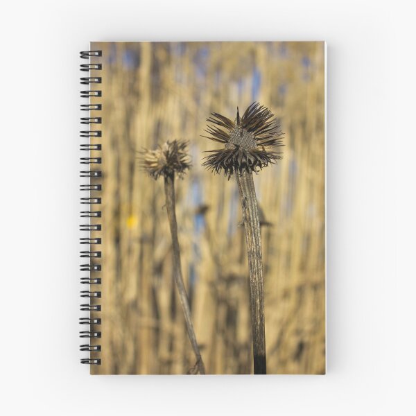 Item preview, Spiky remnant of winter designed and sold by Rod Raglin.