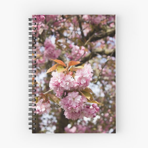 Aperçu de l'œuvre Cherry blossom cluster créée et vendue par Rod Raglin.