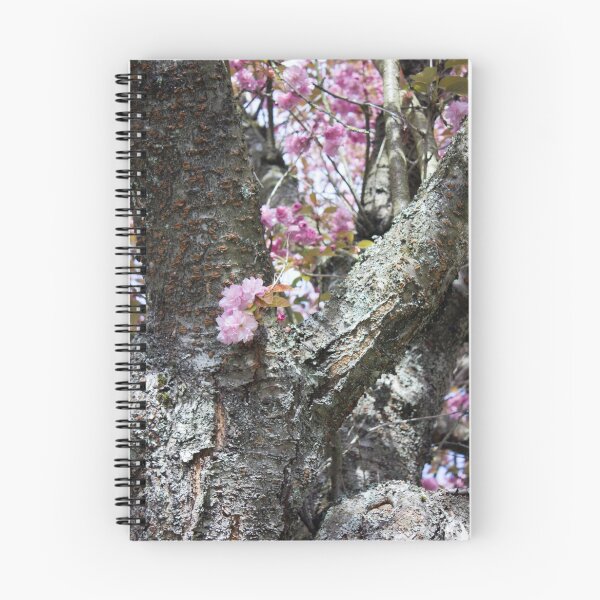 Item preview, Delicate cherry blossoms, rough trunk. designed and sold by Rod Raglin.