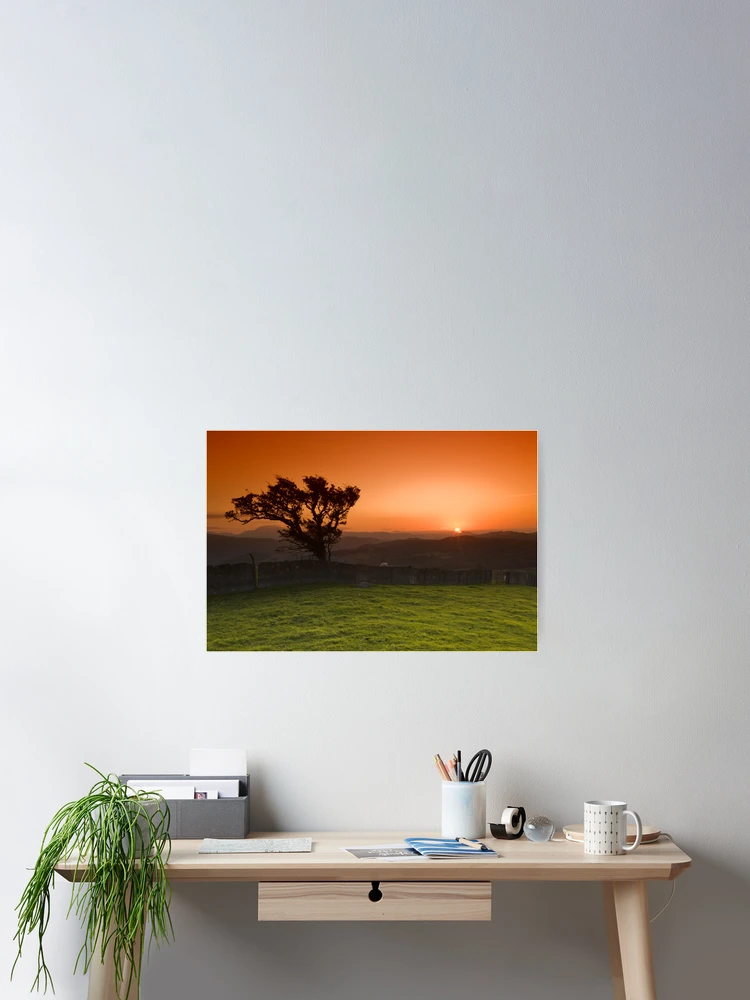 Thumbnail 2 of 3, Poster, Windswept tree designed and sold by Rory Trappe.