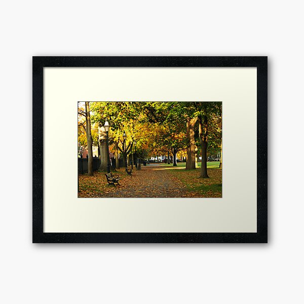 Autumn in Salem Commons Framed Art Print