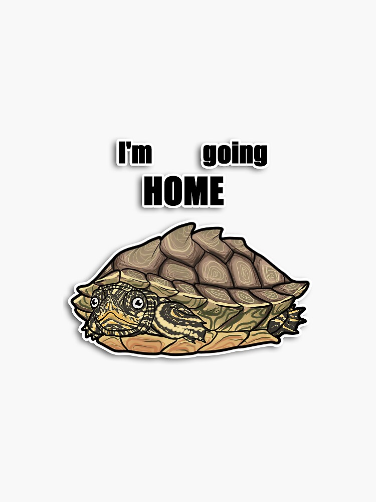 Thumbnail 3 of 3, Sticker, Shy Turtle designed and sold by Taterbunny.