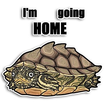 Artwork thumbnail, Shy Turtle by Taterbunny