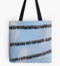 Birds on wire Tote Bag