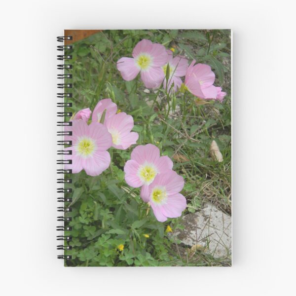 Item preview, Pink Evening Primrose designed and sold by Texanbratt.