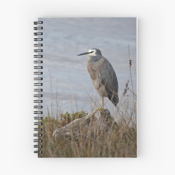 Item preview, White Faced Heron, Tasmania designed and sold by Chris Cobern.