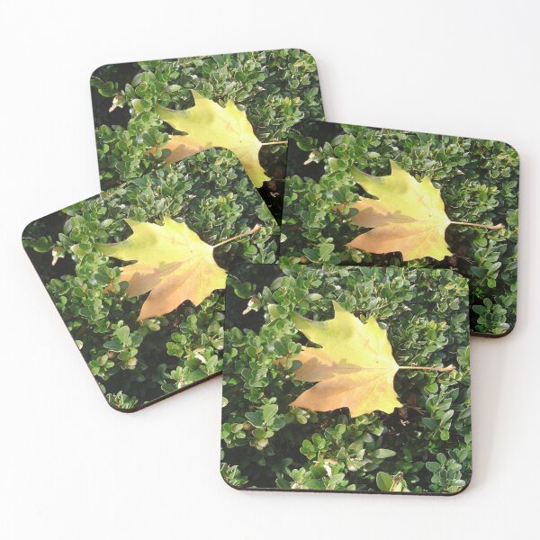 Item preview, Stones and Leaves 9 designed and sold by ellenhenry.