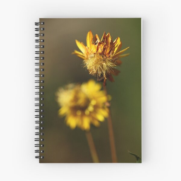 Item preview, Paper Daisy Set 1/3 designed and sold by beeden.