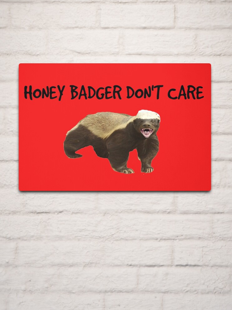 The Honey Badger Who Got Away - Revenge of the Birds