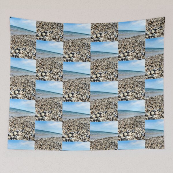 Item preview, Rocks on Lake Michigan in September designed and sold by S S Photography.
