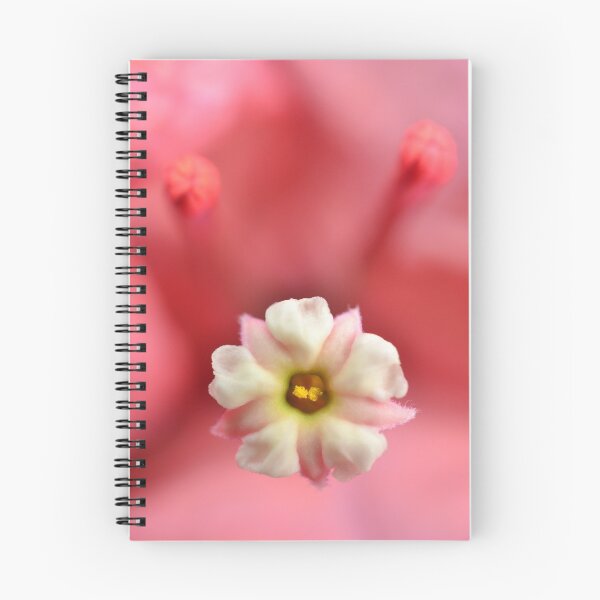 Item preview.
