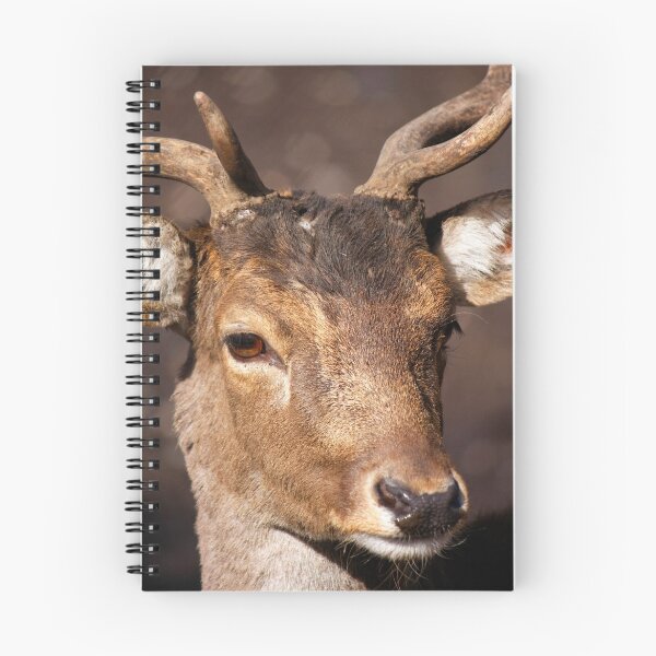 Item preview, König Hirsch designed and sold by Doppelbock.