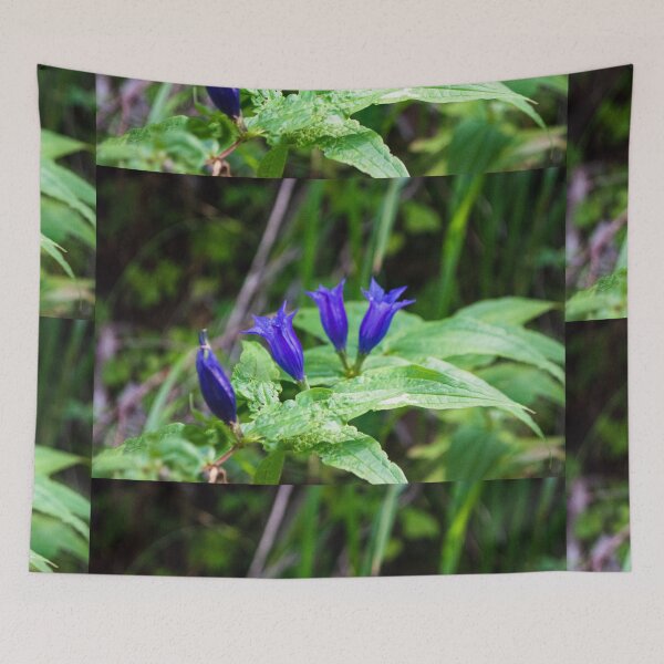 Item preview, Blue bell flowers designed and sold by Sunil Bhardwaj.