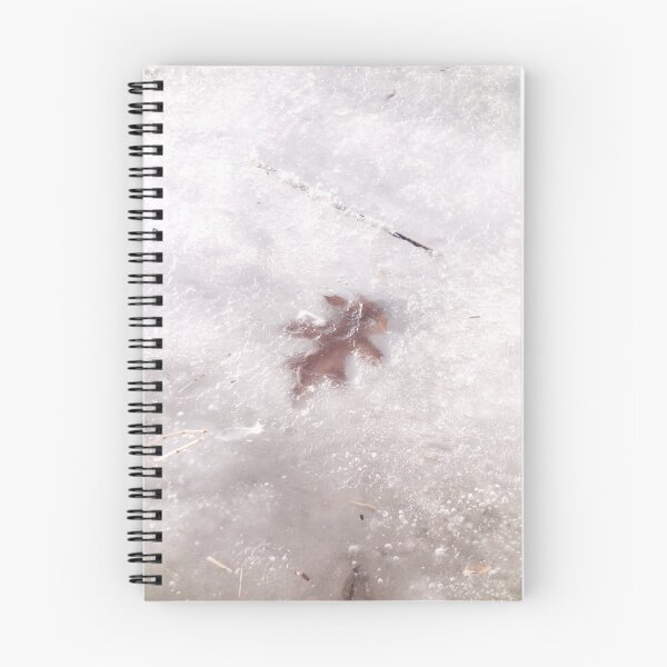 Item preview, Gull Lake Relic Chilled  designed and sold by Robert Meyers-Lussier.