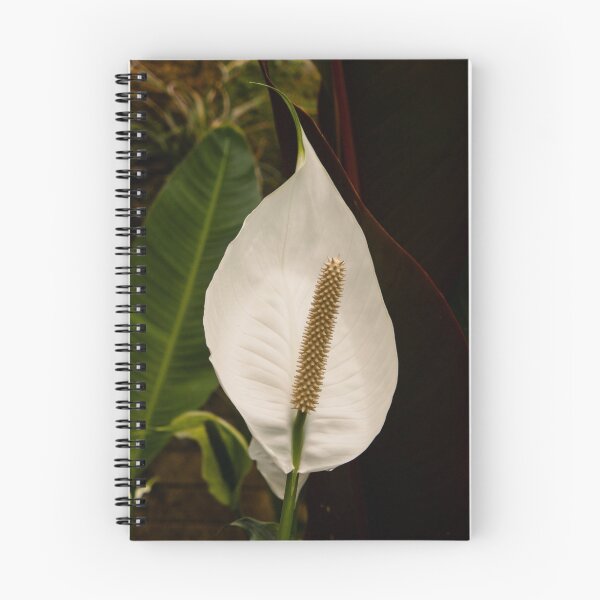Artikelvorschau, Anthurium entworfen und verkauft von Thaddeus Zajdowicz.