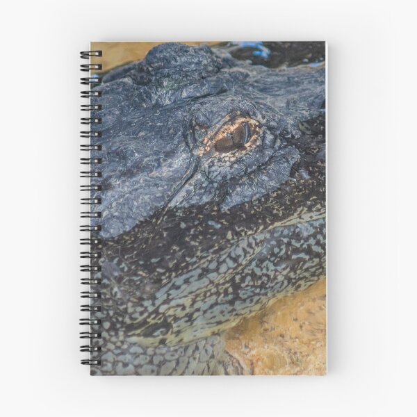 Item preview, Alligator face designed and sold by KensLensDesigns.