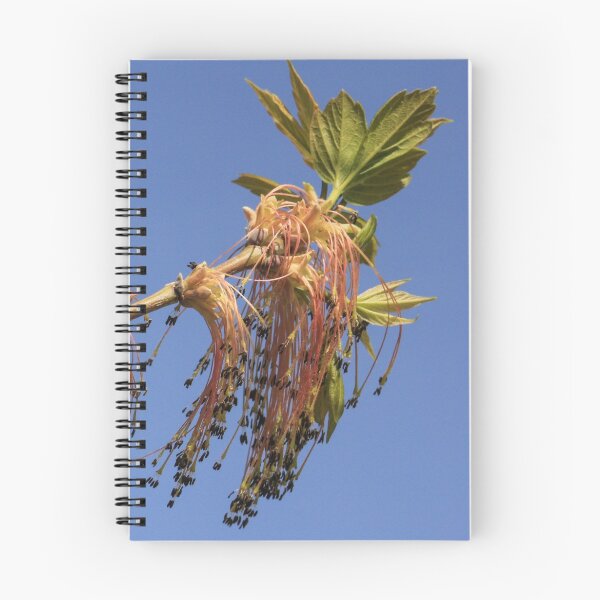 Item preview, Tree Flowers Dangling designed and sold by Gary Horner.