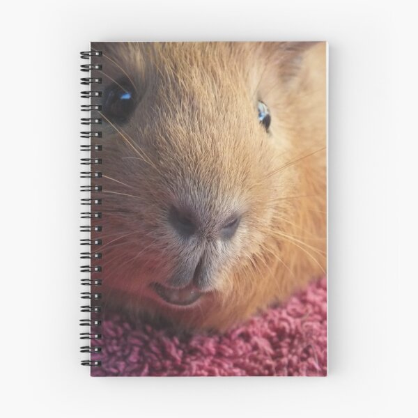 Item preview, guinea pig designed and sold by blacksheet.