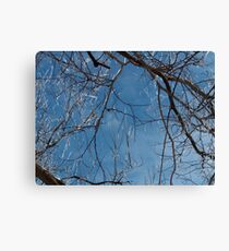 The Beauty of the Storm Canvas Print