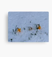 Survivors Canvas Print