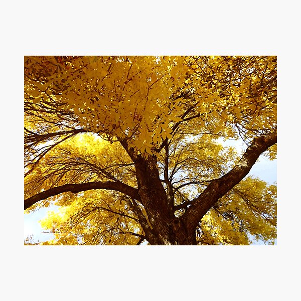 Item preview, Golden Tree designed and sold by Vaengi.
