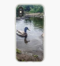 Duck in Water iPhone Case