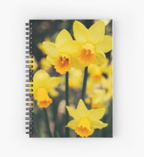 Yellow Daffodil Flowers Spiral Notebook