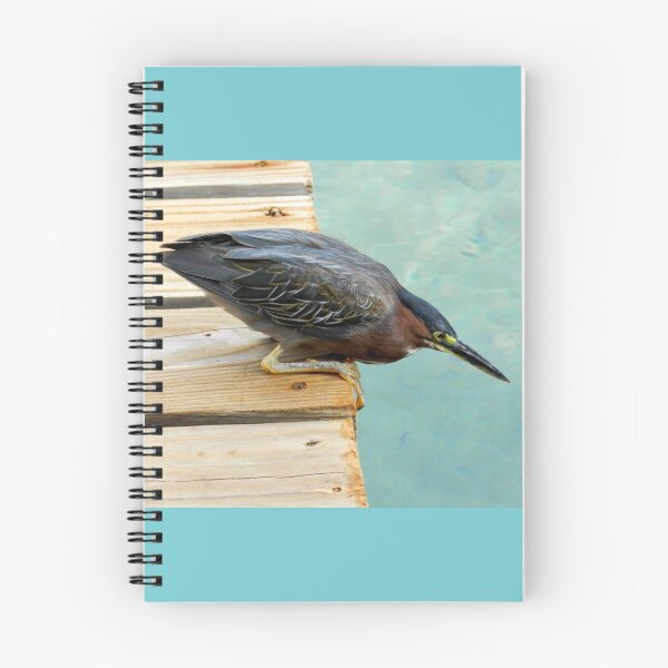 Item preview, Green Heron Zeroing in on Fish designed and sold by 2CrabbySisters.